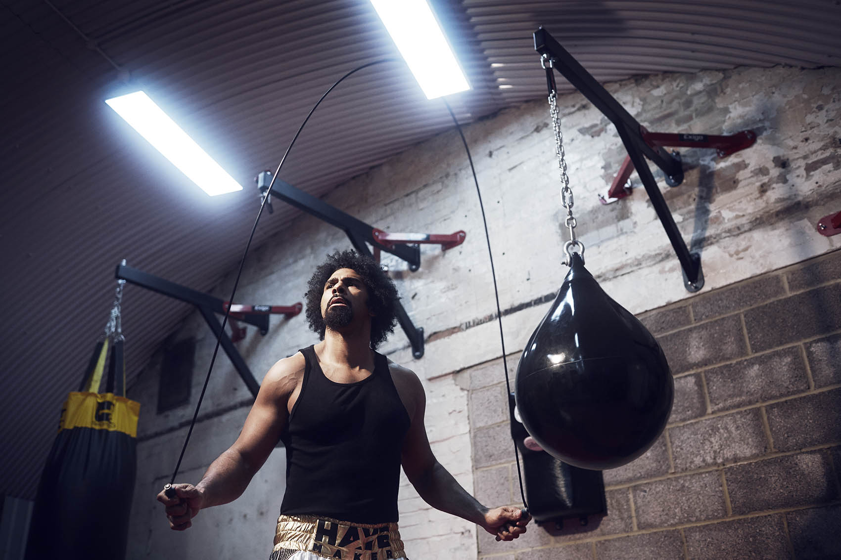 David Haye