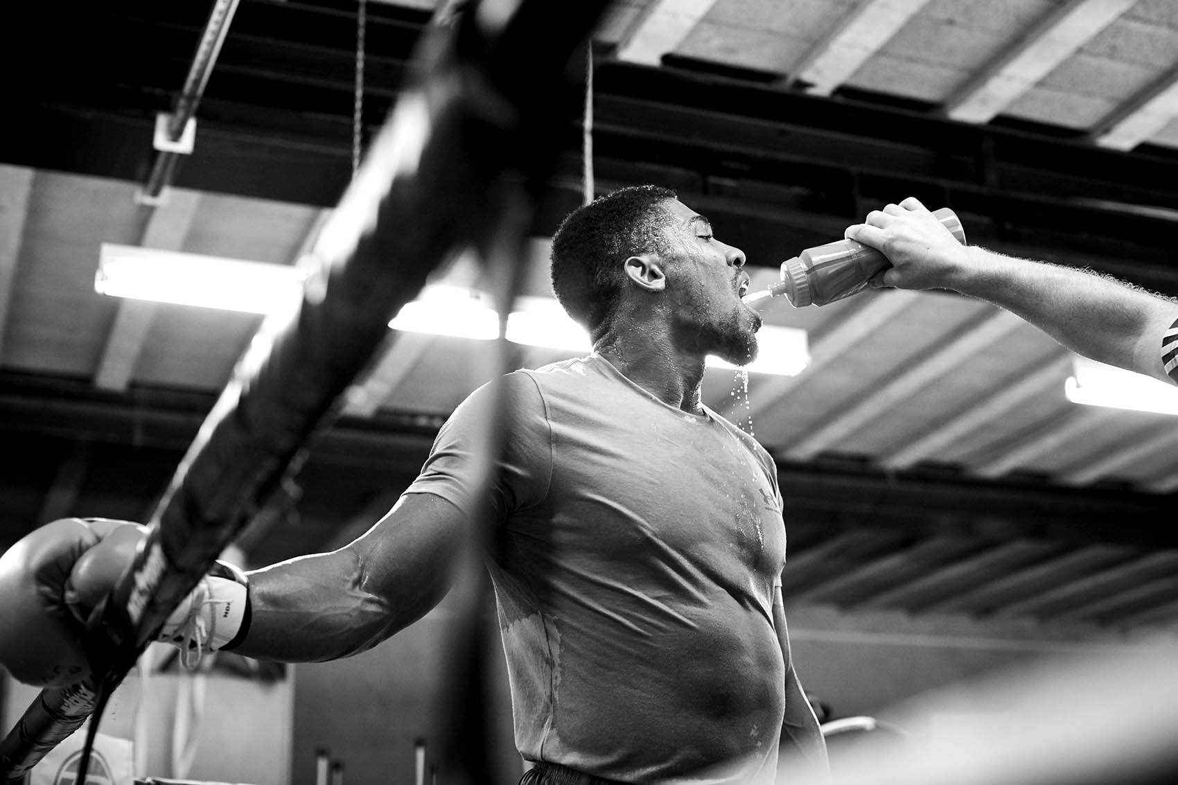 Lucozade Anthony Joshua